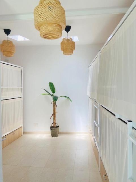 The Lighthouse Hostel Sagres Ngoại thất bức ảnh